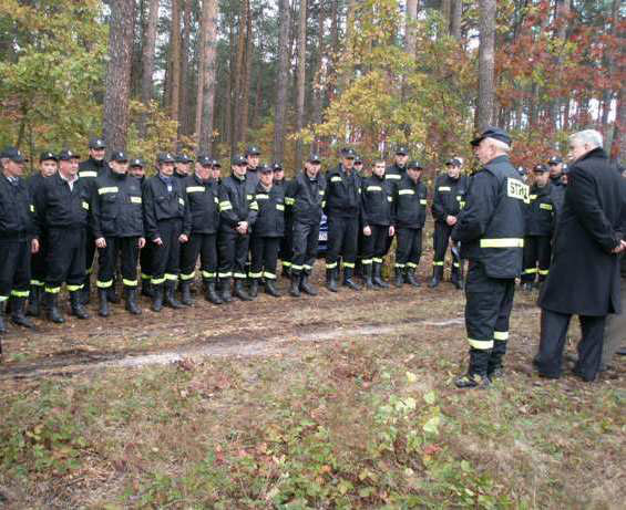 s14.jpg
